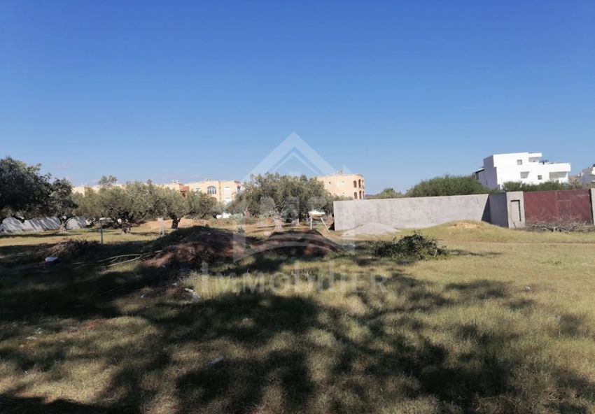 Terrain de 555 m² à vendre à Hammamet Sud à 555 MD 51355351