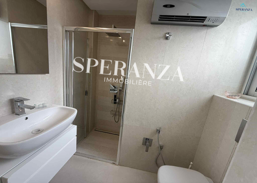 Location Appartement Daniel S+2