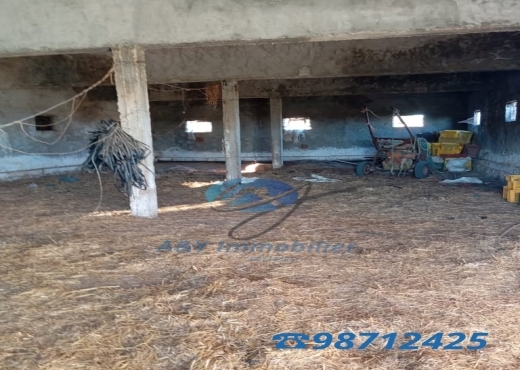 Grand terrain 6000 m² + 2 maisons à Béjou