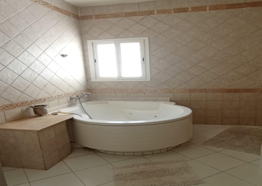 appartement s+1 meuble