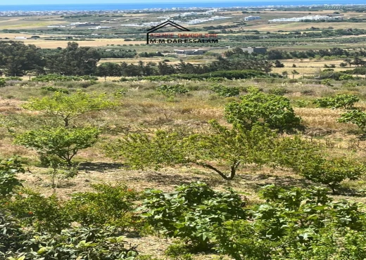 terrain À Vendre à NABEUL - terrain avec une vue agréable - Immobiliere.tn - Photo 8