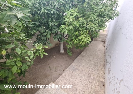 VILLA KMAR Nabeul AV1945