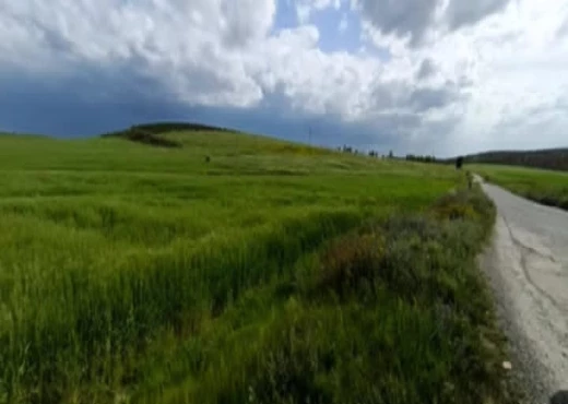 terrain À Vendre à ZAGHOUAN - terrain agricole à vendre - Immobiliere.tn - Photo 2
