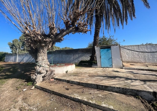 ferme à vendre