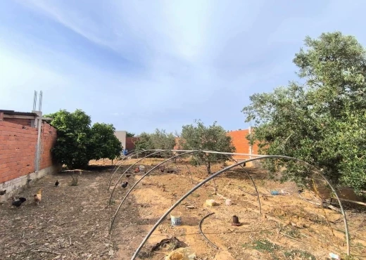 terrain À Vendre à MONASTIR - Terrain agricole à vendre - Immobiliere.tn - Photo 9