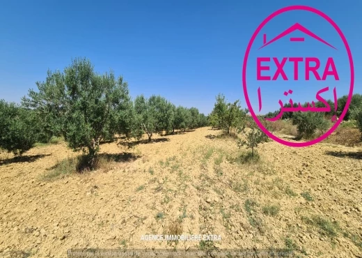 ferme À Vendre à NABEUL - Vente Campagne a boushem - Immobiliere.tn