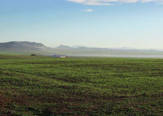 40 hectares pour la plantation d'o