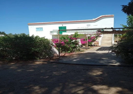 ferme À Vendre à NABEUL - Ferme Agricole de 11 h à Soliman - Immobiliere.tn - Photo 5