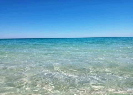 Opportunité intéressante