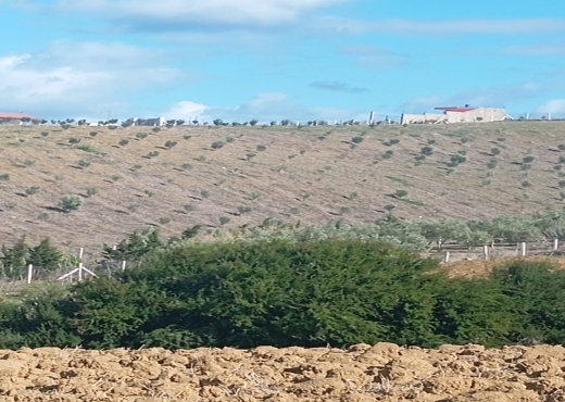 Terrain agricole, Route Ras Jebel ↔ Rafraf