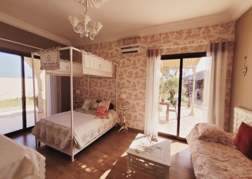 GRANDE PROPRIÉTÉ À DJERBA-RÉF V685