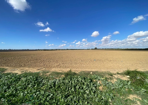 un superbe terrain agricole