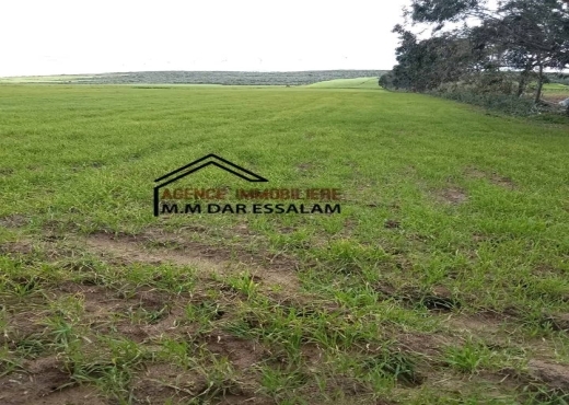 terrain agricole près de la plage