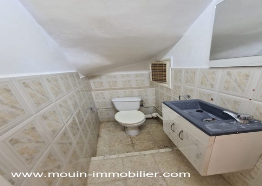 DUPLEX LES TULIPES AV1923