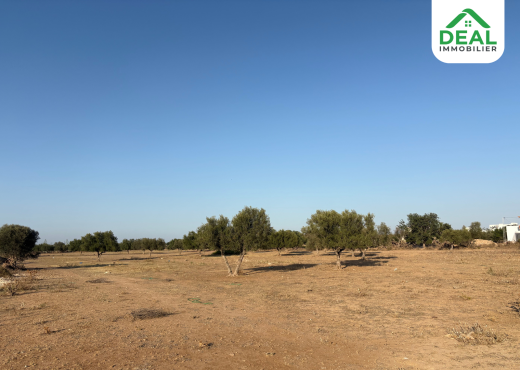 Deux lots de terrain résidentiel