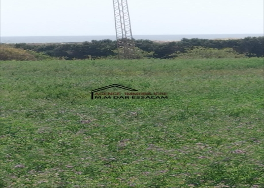 des lots de terrain près de la mer