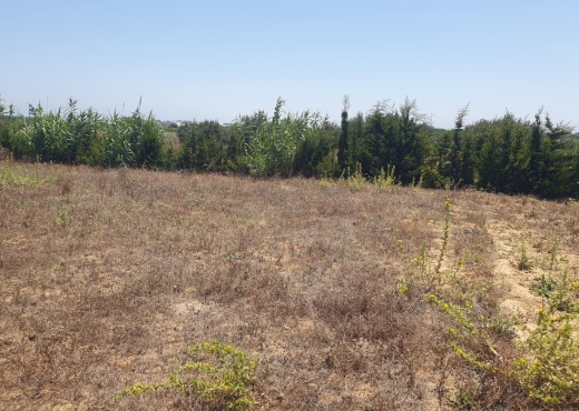 terrain a vendre
