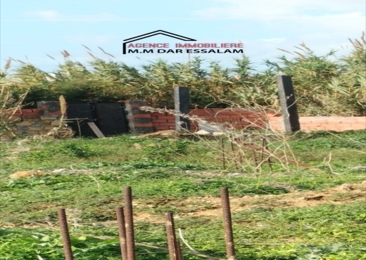 terrain À Vendre à NABEUL - terrain sur la route principal - Immobiliere.tn - Photo 7