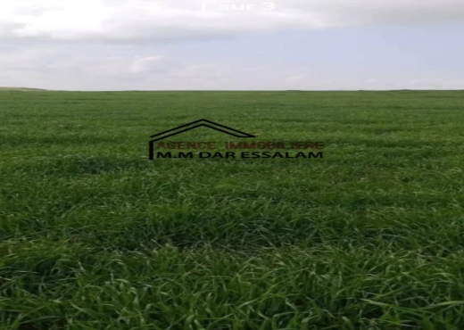 terrain agricole à vendre
