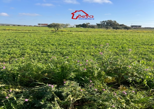 Une ferme à vendre