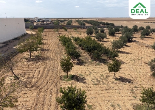 Seniya de 4 hectare et 5000 m² à vendre