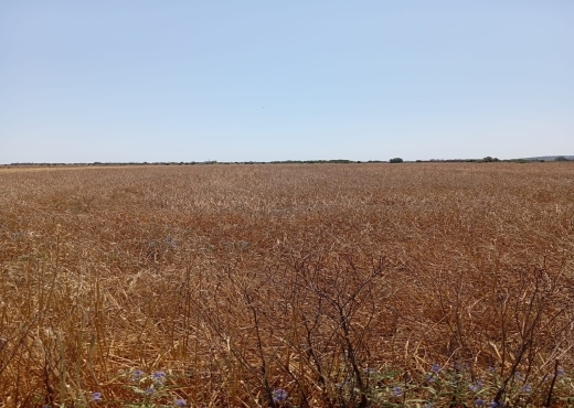 Terrain de 3600 m² à Ariana