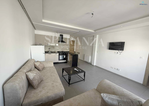 Location Appartement Silva S+1