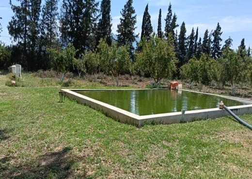 terrain agricole