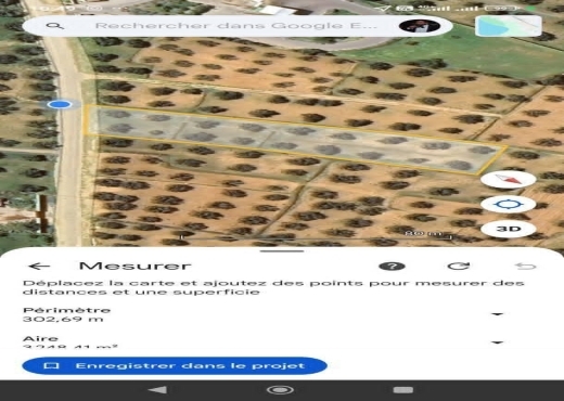 terrain À Vendre à MONASTIR - Terrain agricole a vendre à Moknine - Immobiliere.tn - Photo 2