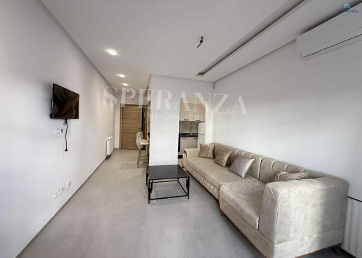 Location Appartement Aura S+1