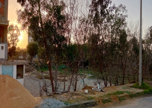 à vendre à lotissement les flamants roses