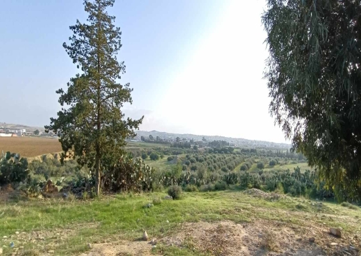terrain agricole