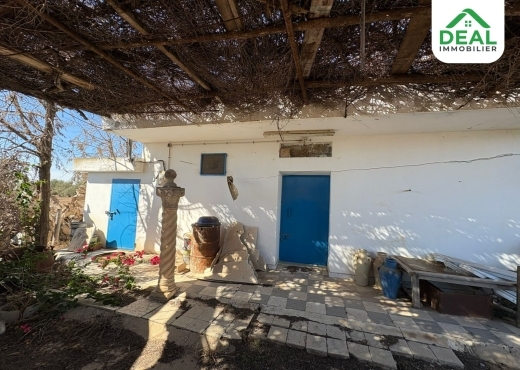 أرض فلاحية للبيع