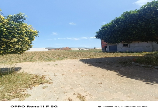 un terrain situé a haouaria