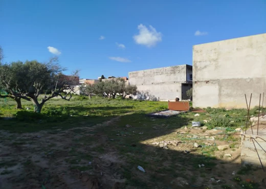 terrain À Vendre à NABEUL - Terrain d’habitation à Kelibia - Immobiliere.tn - Photo 5