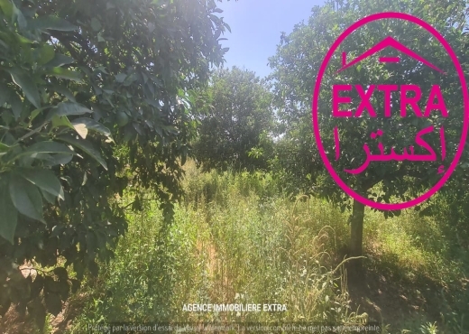 Vente campagne à Nabeul