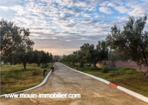 maison À Vendre à NABEUL - L'Havre De Paix AV1976 Hammamet - Immobiliere.tn - Photo 6