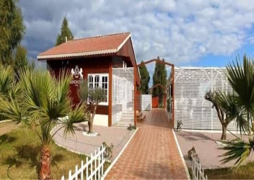 A vendre des lots de terrain à utique