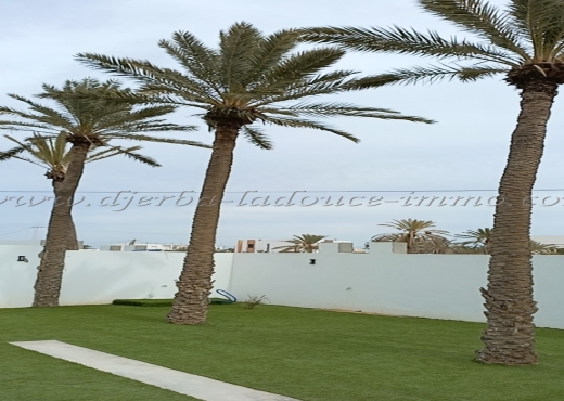 A Vendre Terrain 12511 m² a Midoun