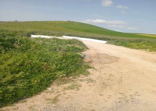 للبيع قطع أرض في سيدي ثابت-شرفش