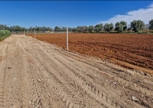 terrain À Vendre à ARIANA - Lots de terrain de 1000 m situés - Immobiliere.tn