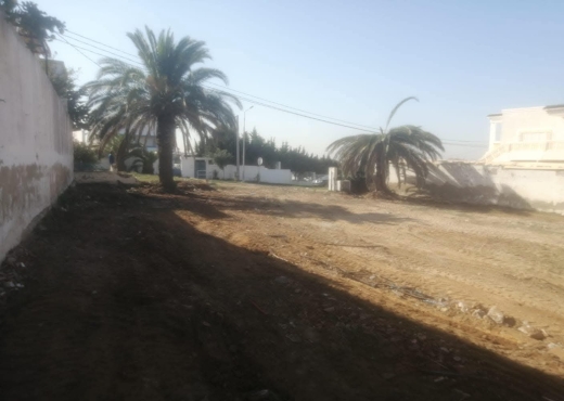 A VENDRE TERRAIN A GAMMARTH