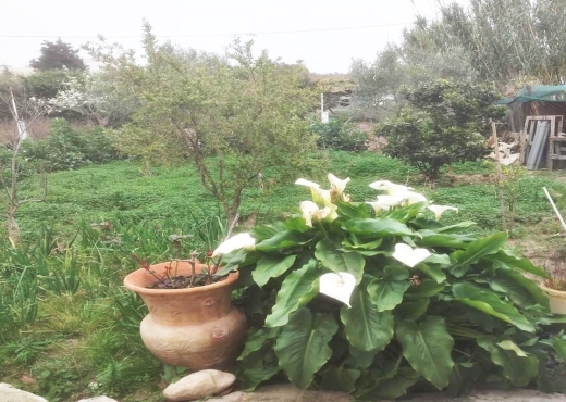 Belle villa à Garia ✨