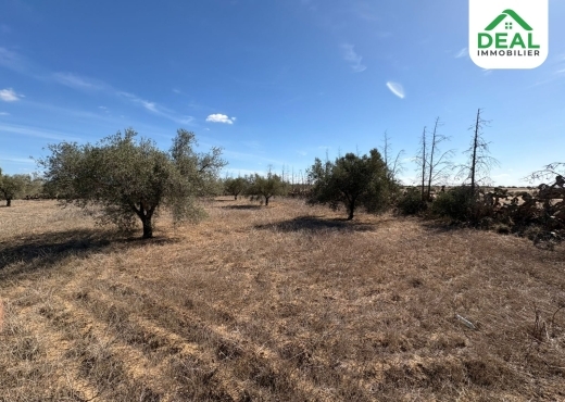 أرض فلاحية للبيع