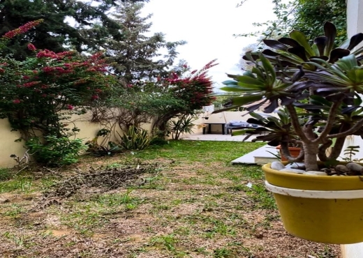 A 𝐕𝐄𝐍𝐃𝐑𝐄 –𝐒+𝟑 𝐚𝐯𝐞𝐜 𝐣𝐚𝐫𝐝𝐢𝐧 📍