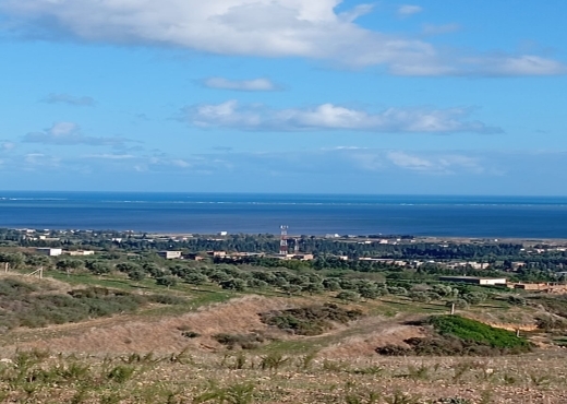 À vendre – Immeuble à Bab Aliwa🏢