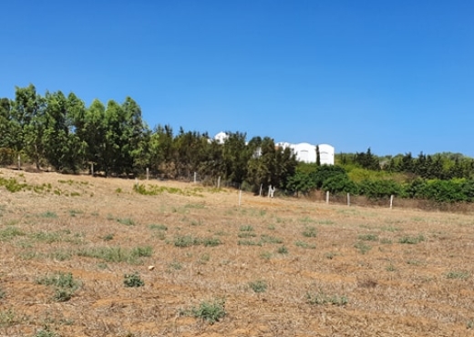 TERRAIN à Ezzahra Hammem ghzez174m