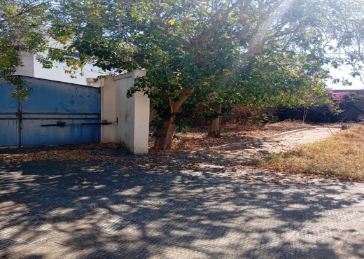 Ferme à vendre à Menzel Bourguiba, Bizerte 🏡