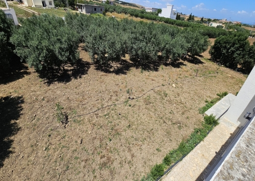 A Vendre Ferme + Villa à Bizerte