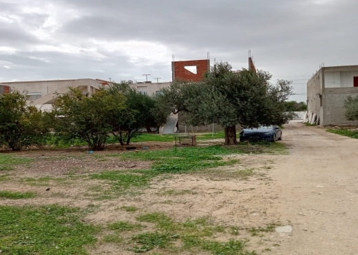 terrain à sidi salah - chotrana 1